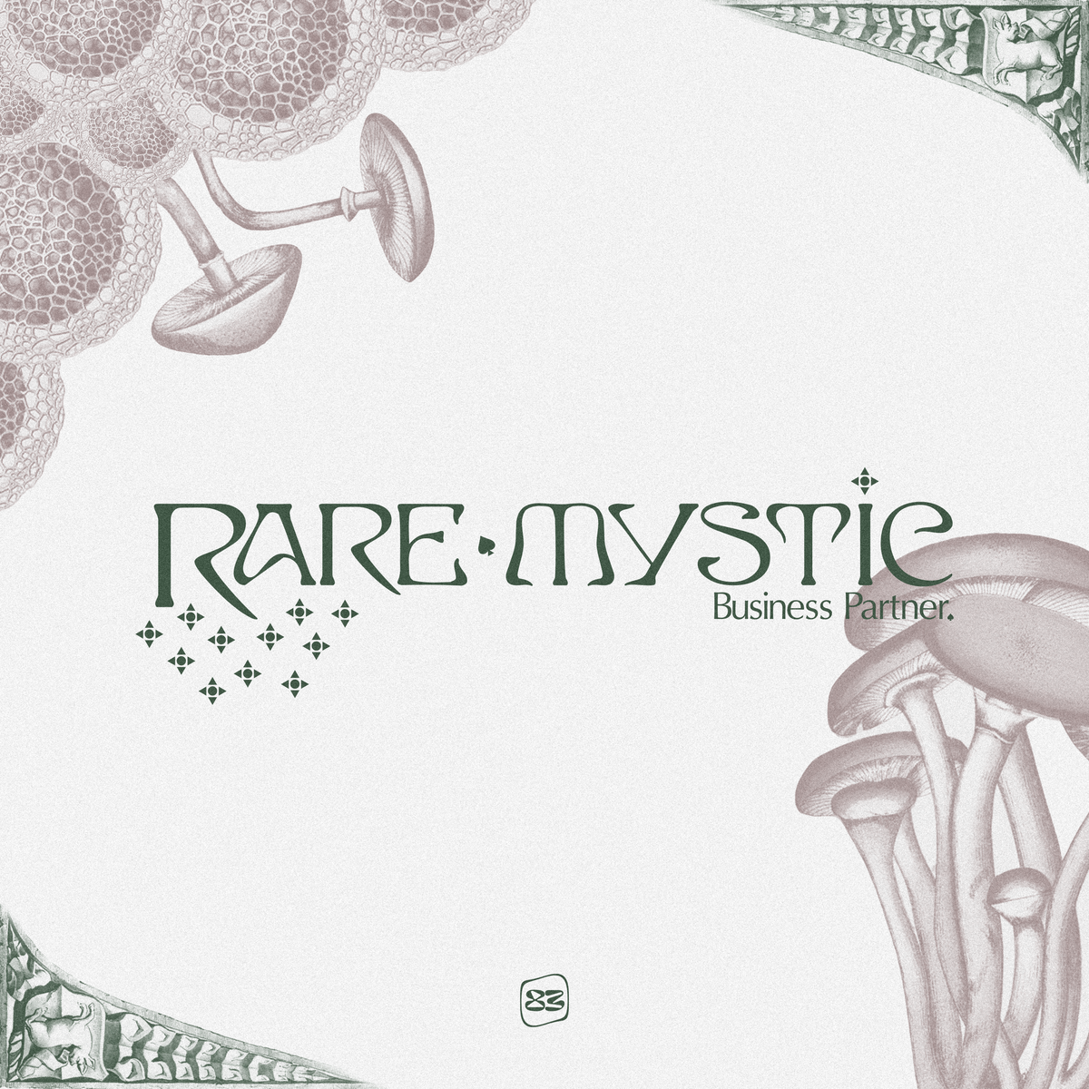 RARE MYSTIC by BUSINESS PARTNER